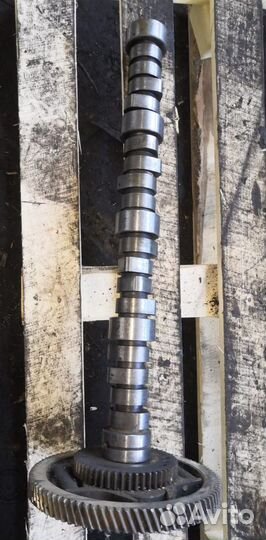 Распредвал Мерседес Актрос V8