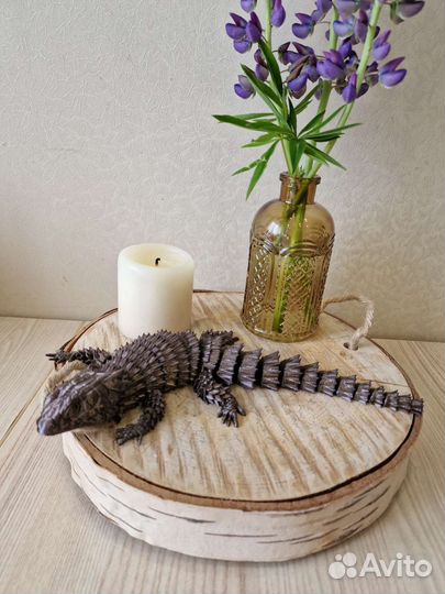 Ящерица - броненосец. Ящерица - дракон