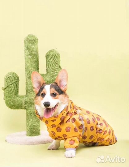 Дождевик для собак