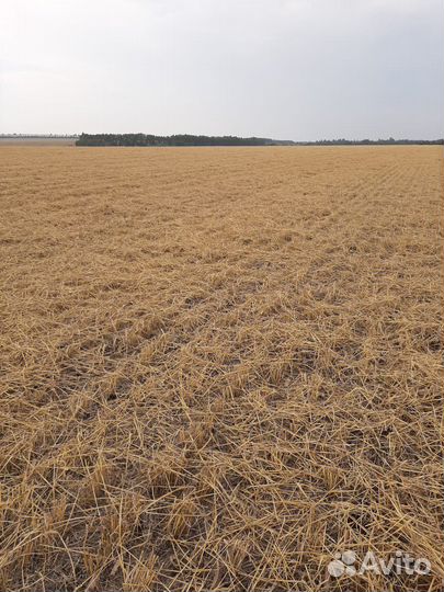 Разбрасыватель соломы Био-тилл РС-1500, 2023