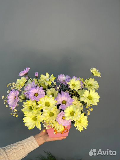 Хризантема