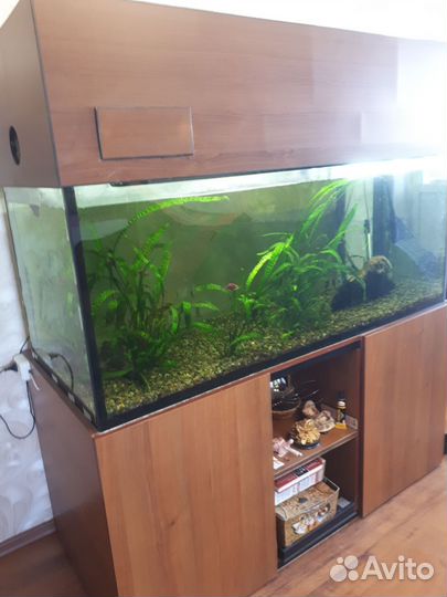 Аквариум с тумбой