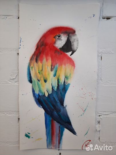 Картина попугай ара