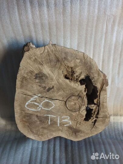 Спилы дерева