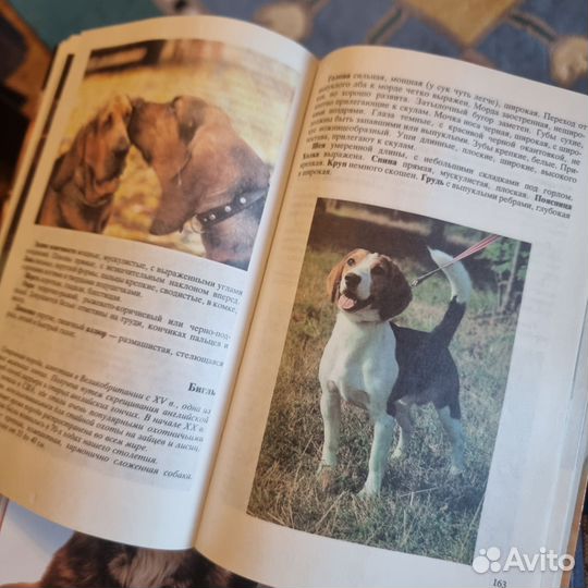 Книги про кошек и собак