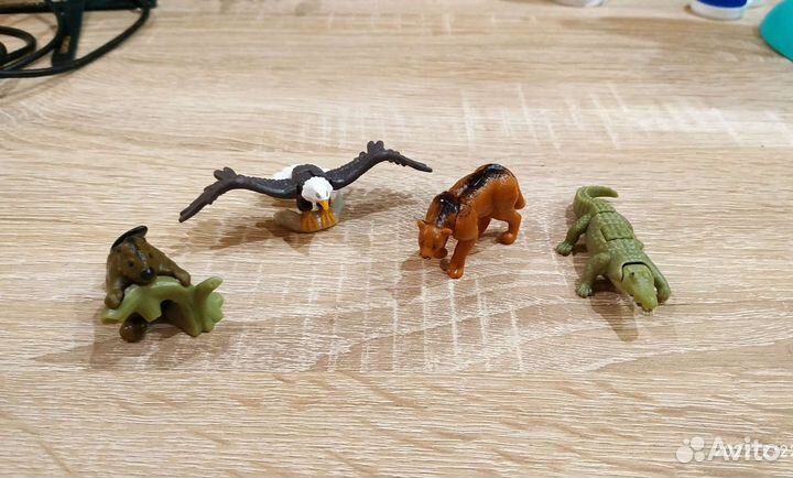 Киндер натунс 2021 natoons