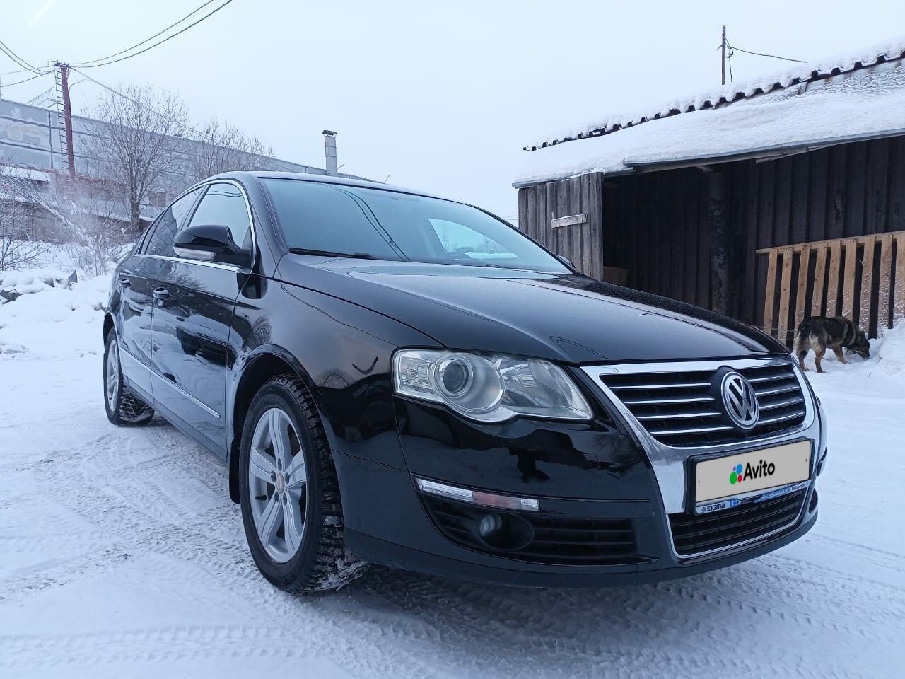 Volkswagen Passat: фото владельца