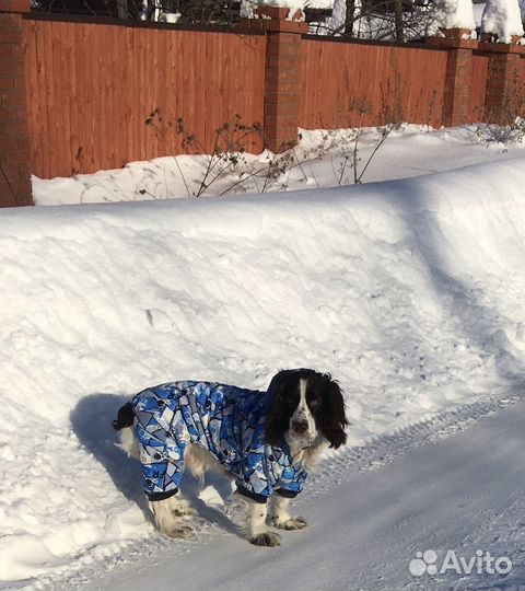 Поиск подружки