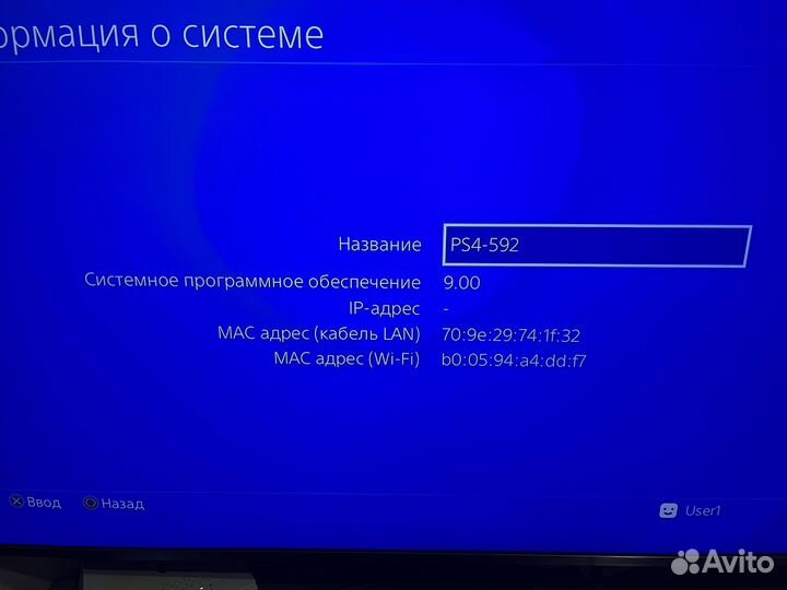 Sony playstation 4 прошитая