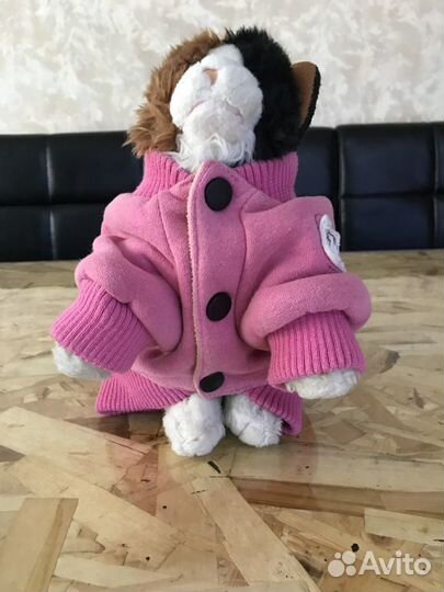 Одежда для собак