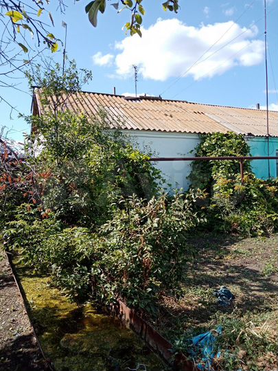 Дом 49,7 м² на участке 9,54 га