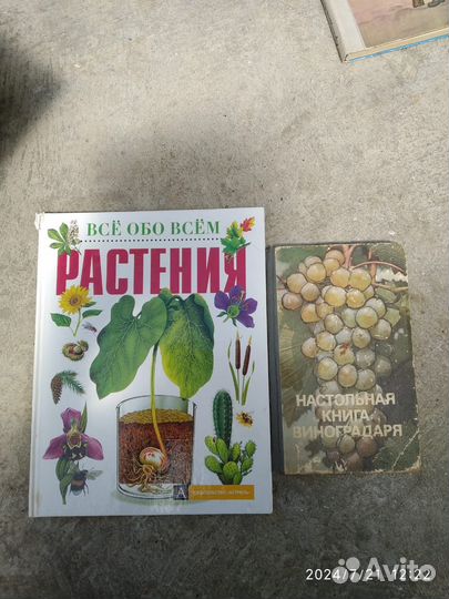 Книги отдам бесплатно