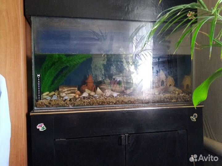 Аквариум на 220литор, с тумбой