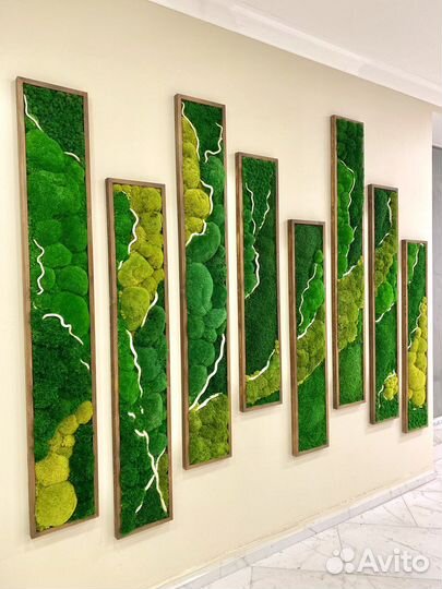 Стабилизированный мох.Озеленение. Фитостена. Ягель