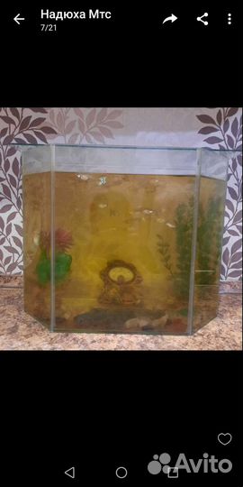 Аквариум