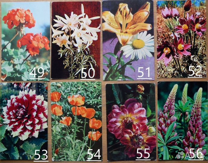 Старые (советские) открытки СССР. Цветы. 2