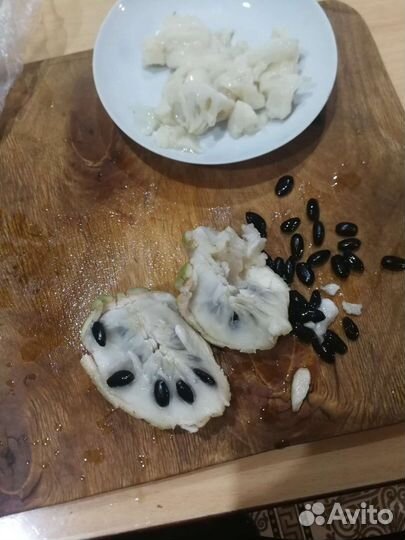 Анона чешуйчатая или сахарное яблоко