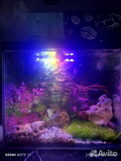 Украшение для аквариума