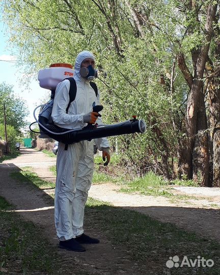 Дезинсекция уничтожение клопов тараканов блох