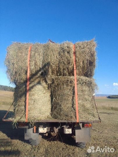 Сено в рулонах