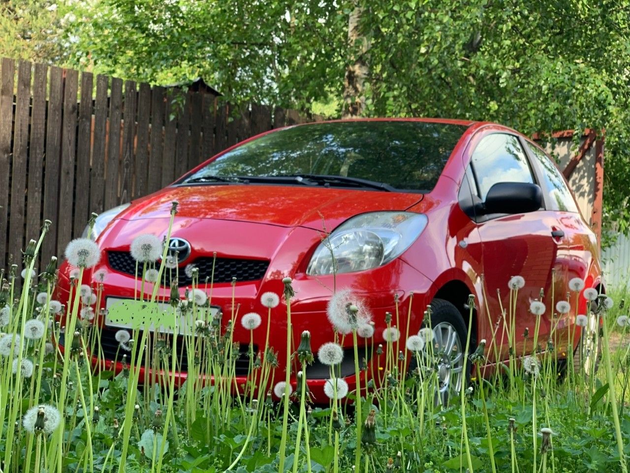 Toyota Yaris: фото владельца