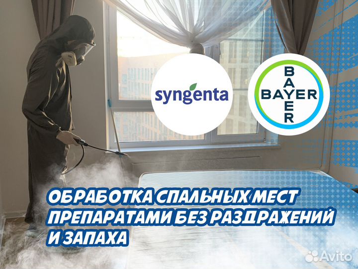 Дезинфекция обработка от грызунов клещей