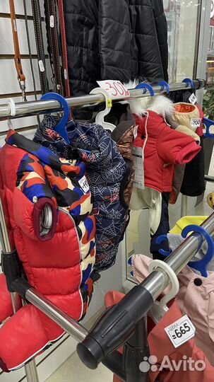 Одежда для собак