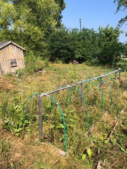 Участок 4,5 сот. (СНТ, ДНП)