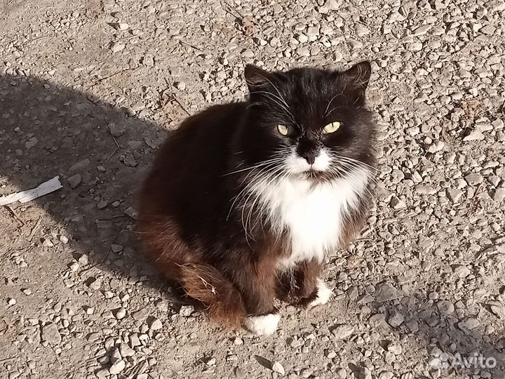 Изменить судьбу