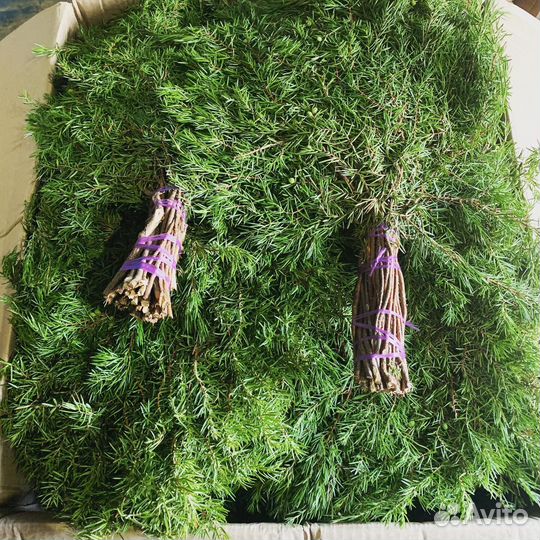 Оптом веники из пихты