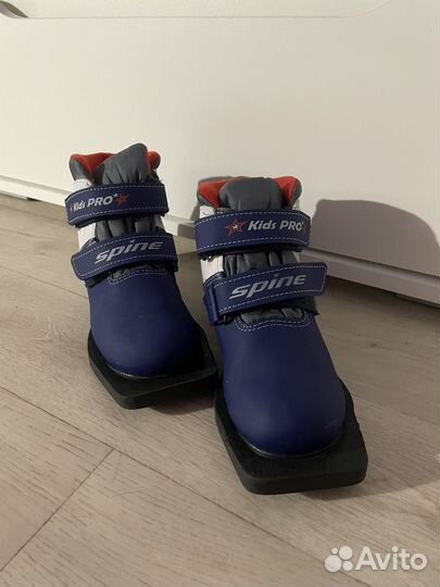 Лыжные ботинки spine