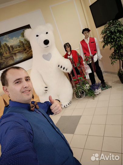 Белый мишка, Чебурашка поздравление, аниматор
