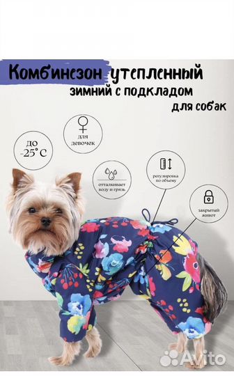 Одежда для собак