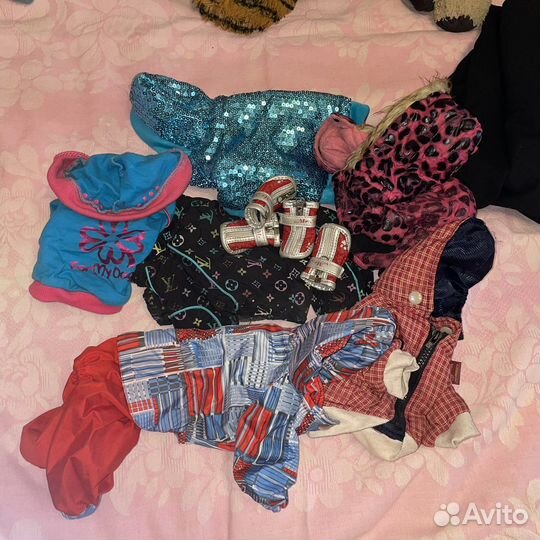 Одежда для собак