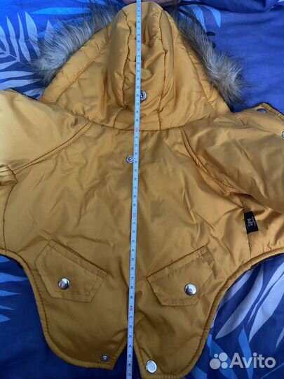 Куртка для мелких собак