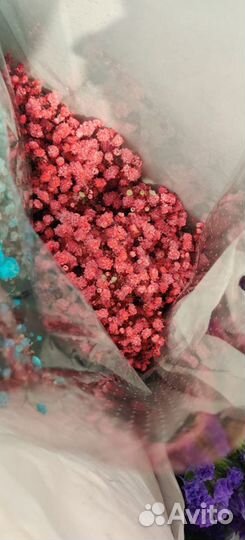 Букет из гипсофилы в коробке