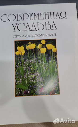 Современная усадьба. Цветы. Ландшафт. Оформление