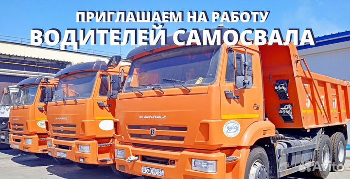 Водитель грузового автомобиля (самосвала) Левашово