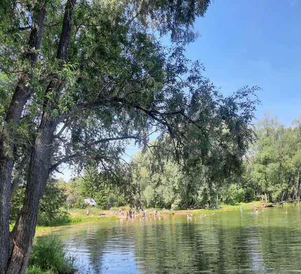 Дом 96 м² на участке 4,3 сот.