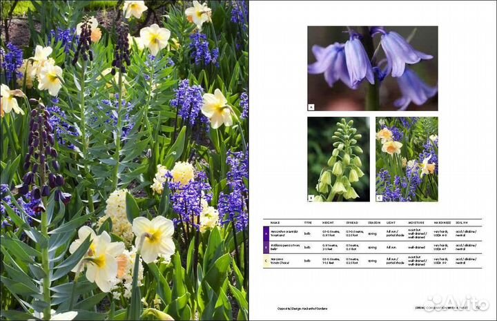 Gardeners Palette: Creating Colour Harmony in the