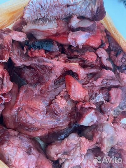 Подъязычный срез (мясо для собак)
