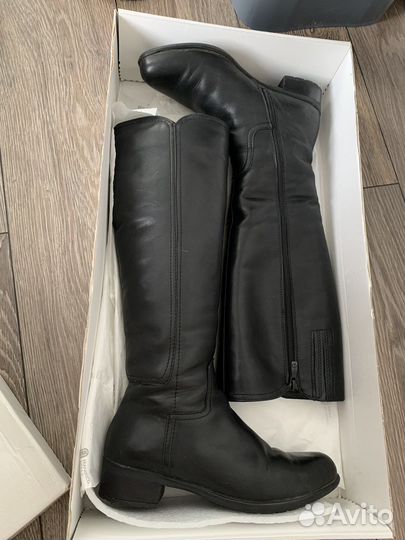 Сапоги женские