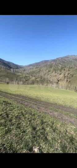 Участок 12,23 га (СНТ, ДНП)