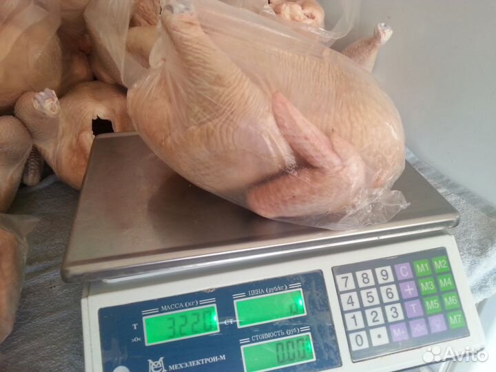 Домашняя птица (мясо бройлера)