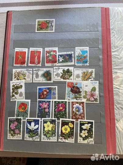 Коллекция марок