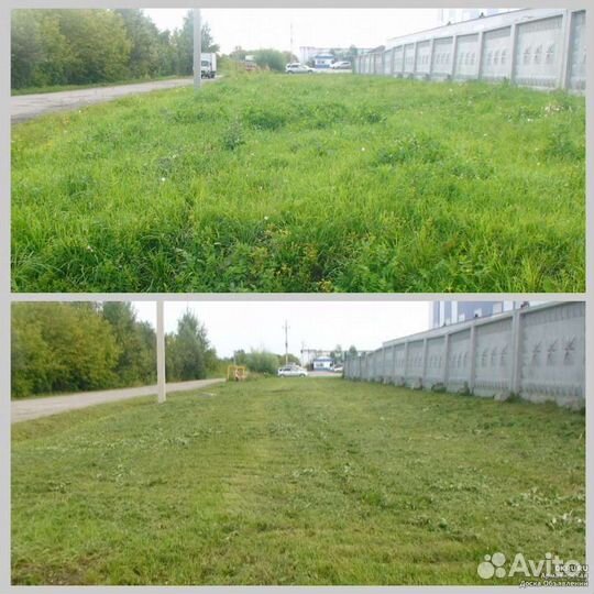 Покос травы триммером