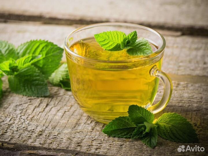 Эстрагон (тархун)