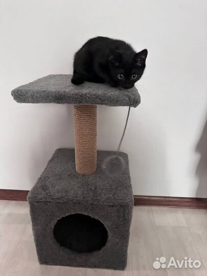 Кошачий домик с когтеточкой