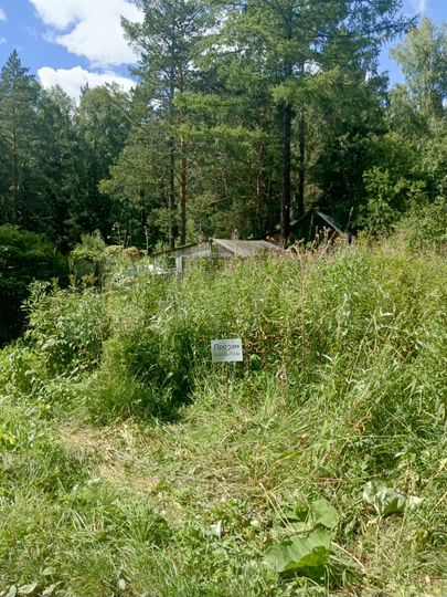 Участок 6 сот. (СНТ, ДНП)