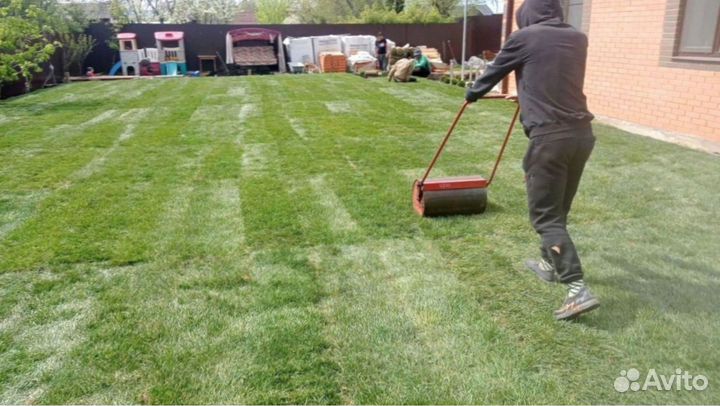 Рулонный газон. Укладка, продажа